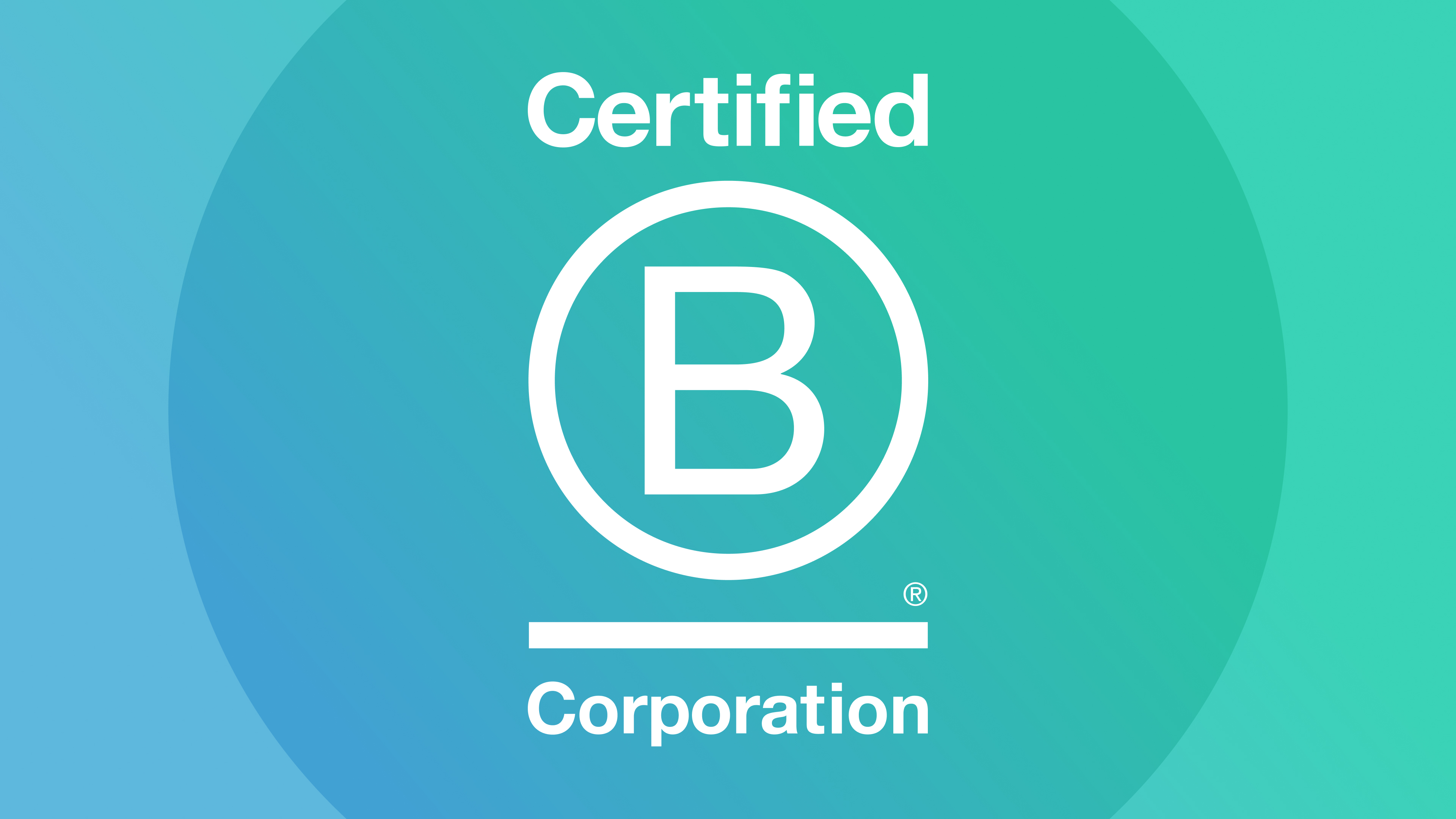 bcorp blog - SOZO Web Design Agency