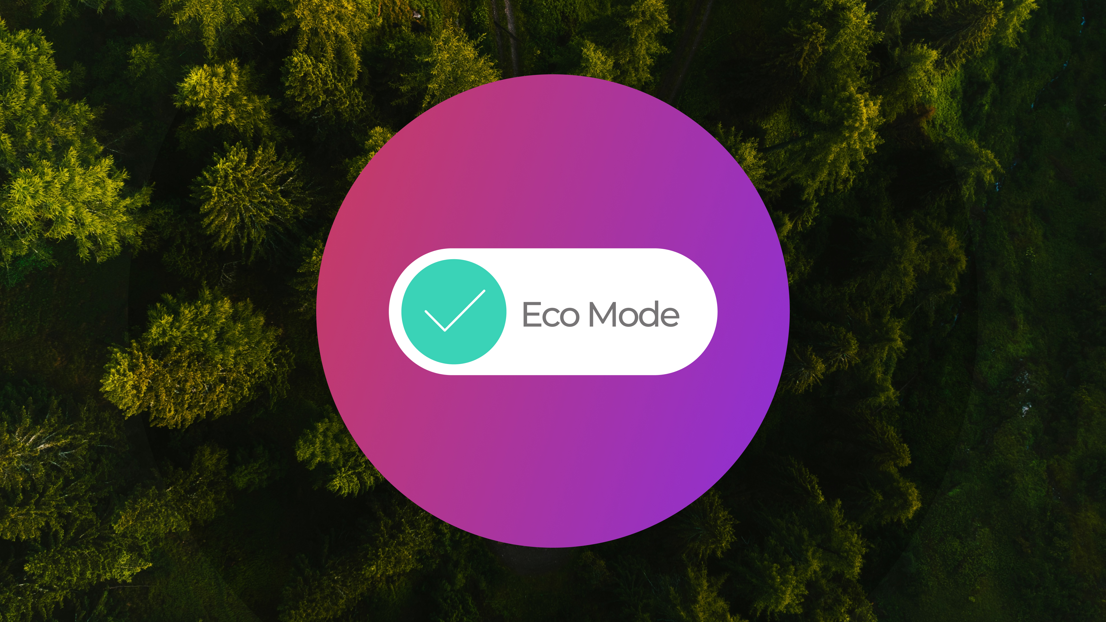 ecomode blog - SOZO Web Design Agency