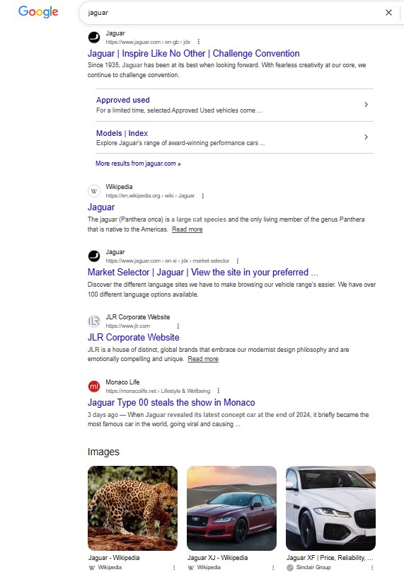 a google search for the term jaguar